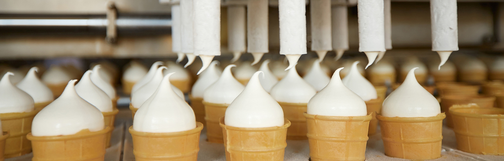 Qualität - Khladoprom Ice Cream Factory